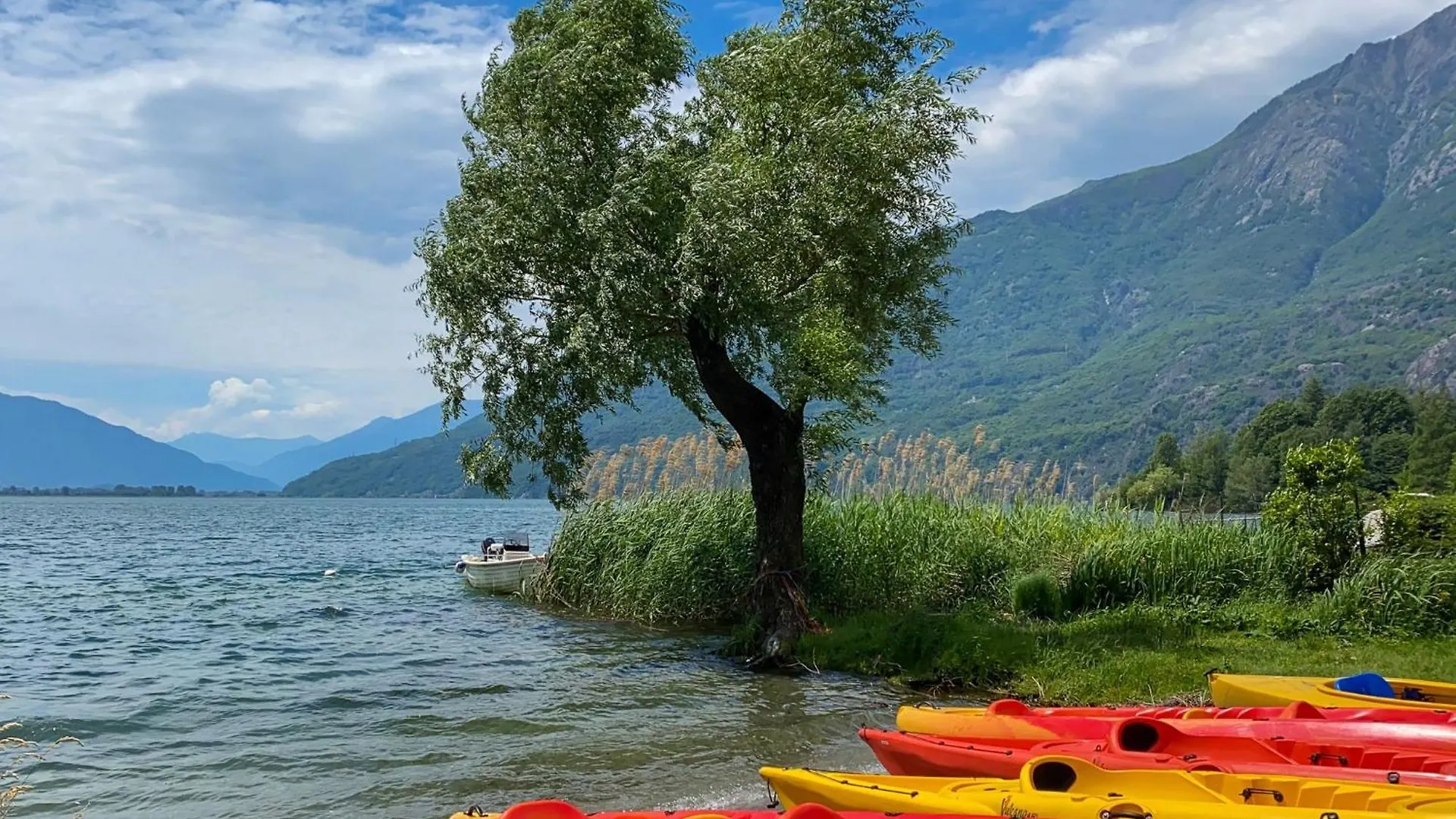 Dascio Emotion Ferienwohnung Mit Terrasse Am See 0*,  إيطاليا